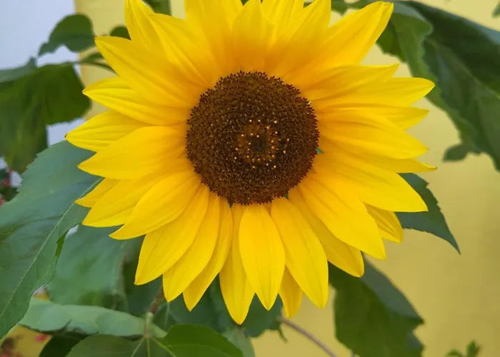 דירה Ti's Minheim